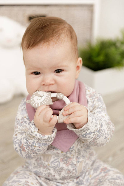 Bertie the Lion Teether - Textured Baby Teether