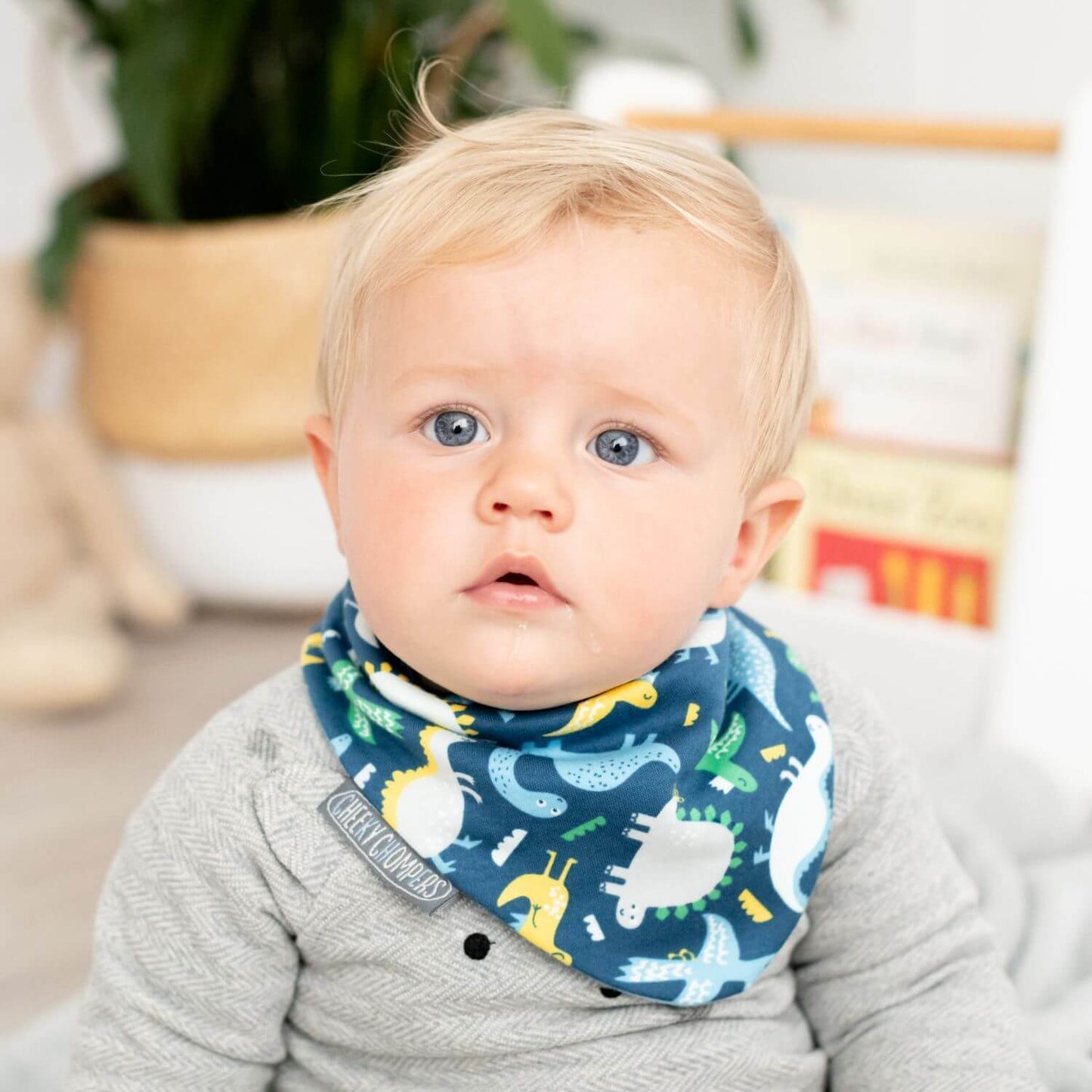 Cheeky Chompers | 2 Pack Dino & Stripes Neckerbibs