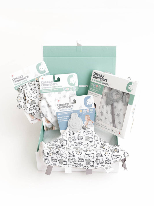 Cheeky Chompers | Newborn Organic Muslin Gift Set - SIlver Stars