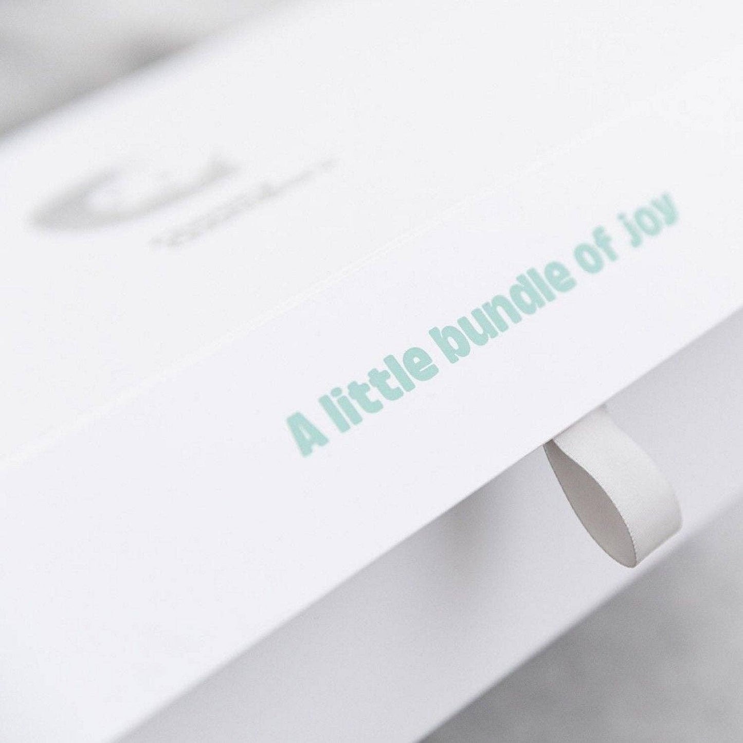 Cheeky Chompers | Newborn Organic Muslin Gift Set - SIlver Stars