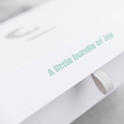 Cheeky Chompers | Newborn Organic Muslin Gift Set - SIlver Stars