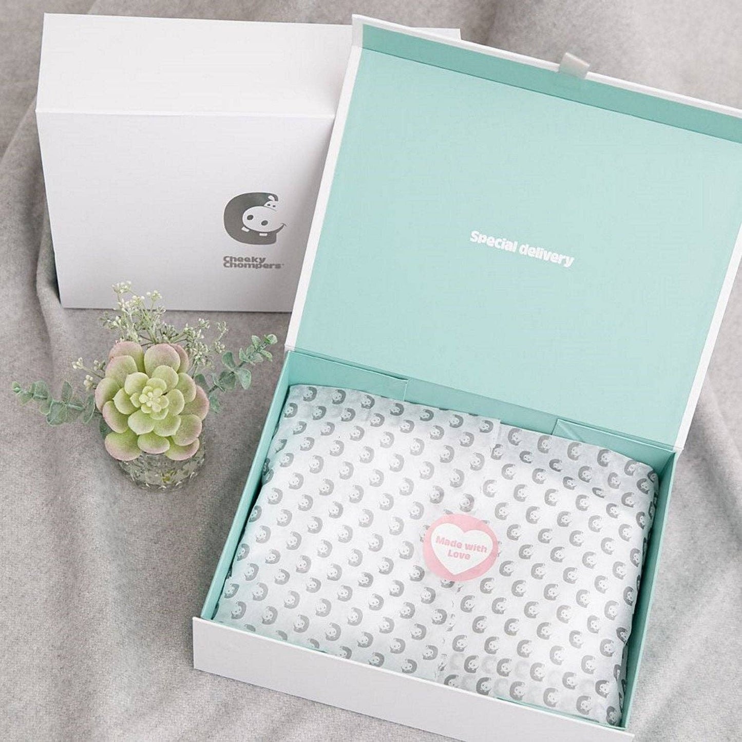 Cheeky Chompers | Newborn Organic Muslin Gift Set - SIlver Stars