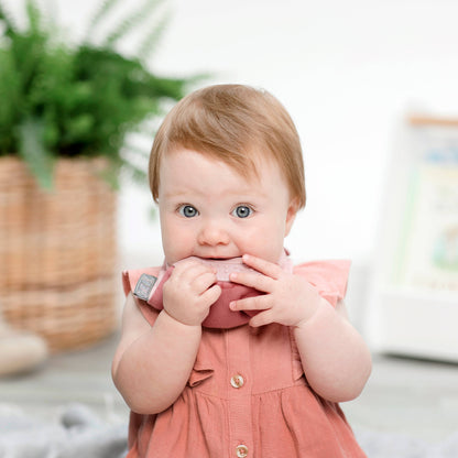 Rainbow Rose Neckerchew - Teething Dribble Bib