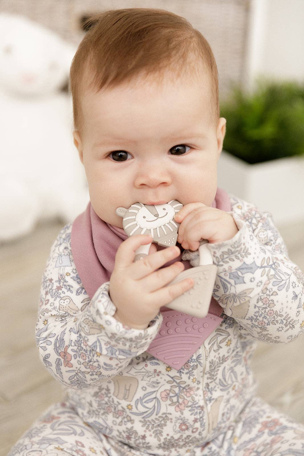 Bertie the Lion Teether - Textured Baby Teether