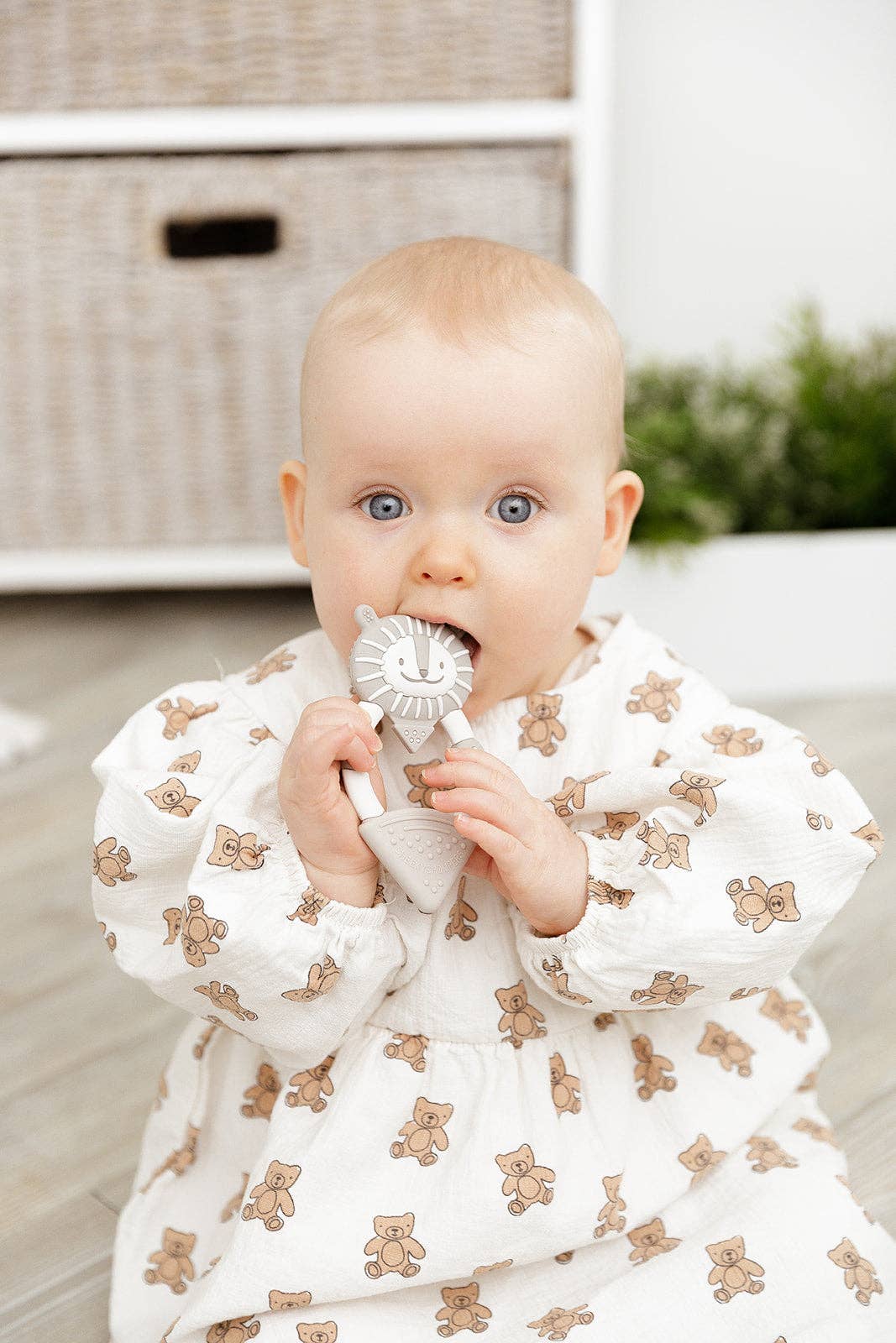 Bertie the Lion Teether - Textured Baby Teether